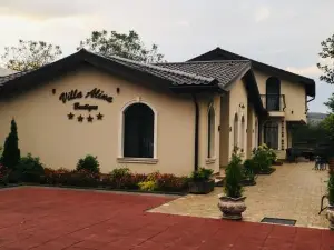 Villa Boutique Alina