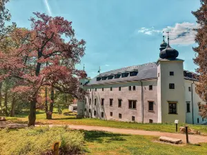 Chateau Třešť