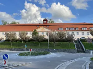 Hotel Tynec