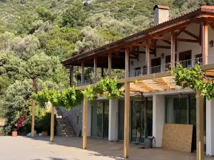 Villa MaVie