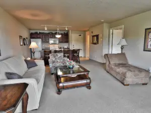 Unit 312 1 Bd 1 Ba Condo Condo