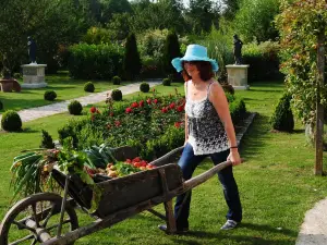 Les Insolites du Grand Logis