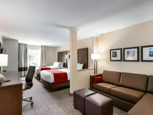 Comfort Suites Fishkill Near Interstate 84