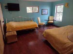 House Lakefront Beautiful Sleeps 12 AC, Wi Fi, 38 minutes to GB