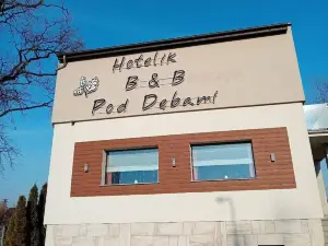 Hotelik B&B Pod Dębami