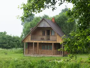 Rudzupuķes