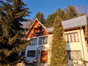 Pensiunea Paradis