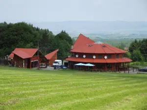 Pensiunea Casa Zmeilor