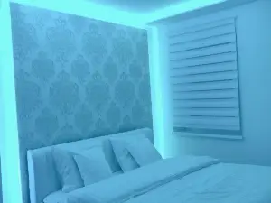 VIP 67