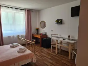 Luca's Studio 3 ,Close to Therme Bucharest, Airport Otopeni