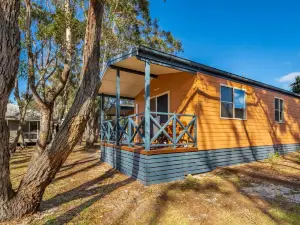 인게니아 홀리데이 보니 힐