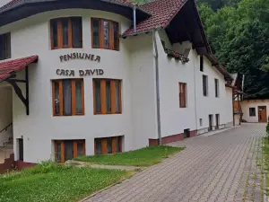 Pensiunea Casa David