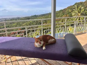 Airport Pamatai Studio