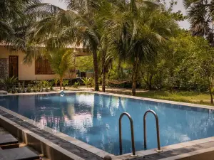 C 비욘드 닐라벨리