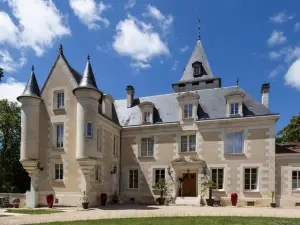 Chateau de Bellevue B&B et Appartements Avec Piscine chauffée et Chambres Partout climatisées