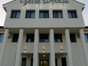 Hotel Villa Ovidiu
