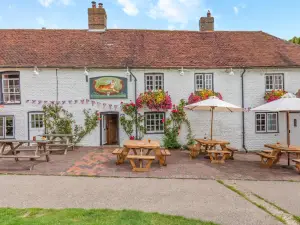 Tiger Inn - Catherine