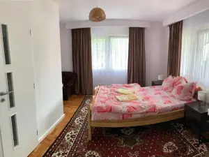 Pensiunea Grapini