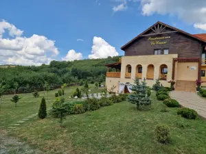 Pensiunea la Conac