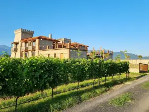 Château Davitiani