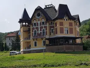 Pensiunea Mayumi Moneasa