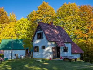 House Jaksic