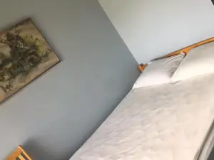 Šeduvos malūnas