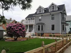 ดาวิสสแควร์อินน์