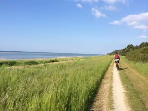 Bønnerup Strand