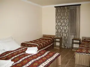 Zanger Hotel
