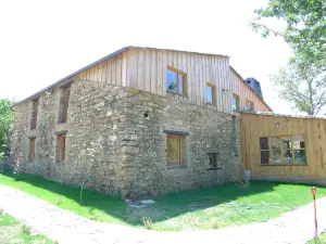 Veniata