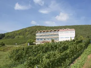 Arens Hotel 327Mnn