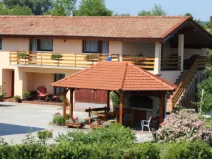 Apartments Kozjan