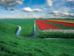 레스틴 안데이크