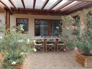 Szamos-Party Vendégház