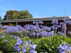 โรงแรมเดอะเคอร์มันดี