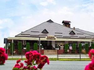 Hotel Horezu