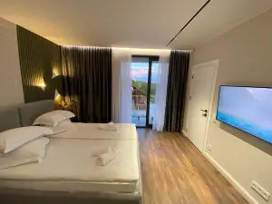 Casa Viilor