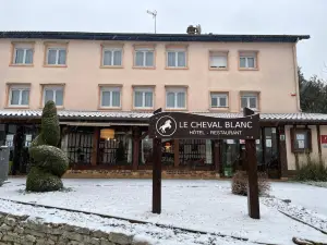 Le Cheval Blanc - Lac du der - Logis Hotel