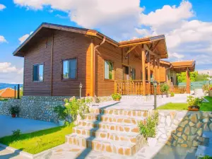 Andreevite Houses