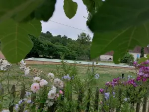 Maison de l Eveque d'Ozenx