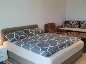 Prenociste Orhideja