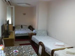 Guest House Green View