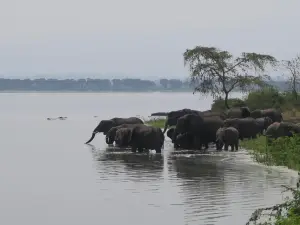 Uganda Lodge