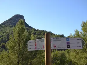 La Coveta Rural