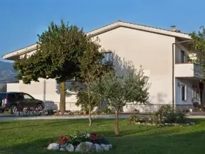 B&B Il Tiglio