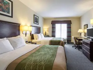 Quality Inn Donaldsonville - Gonzales