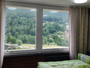 Wildbadferien De