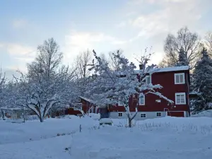 Muses Bnb Bed & Breakfast