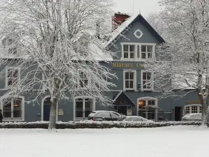 Blarney Castle Hotel